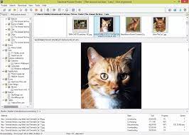 Extreme Picture Finder 3.62.3 Crack + License Key Full Latest 2023